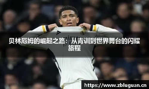 芒果体育登录入口